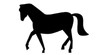 Dark Horse-