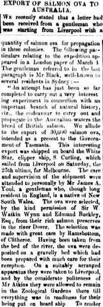 ​Salmon Ova, Cornwall Chronicle (Launceston,Tas) 6 June 1860