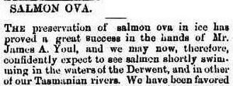 Salmon Ova, Mercury (Hobart, Tas.), Wednesday 9 October 1861