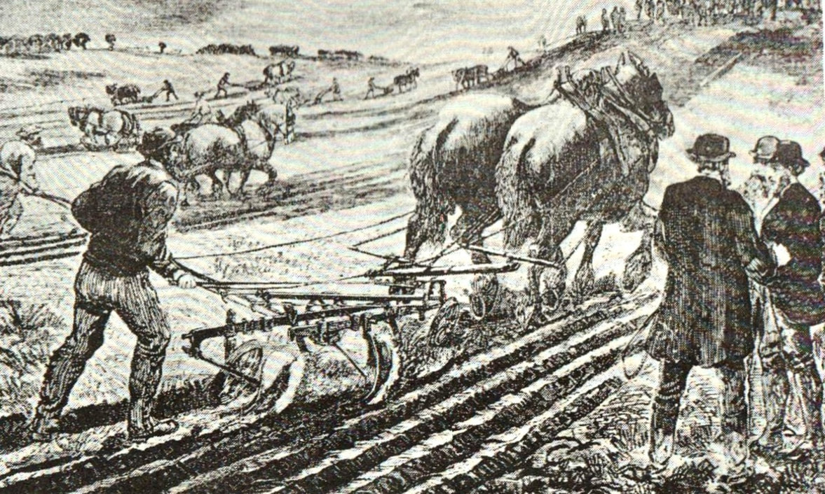 Royal Melbourne Show History Ploughing Matches