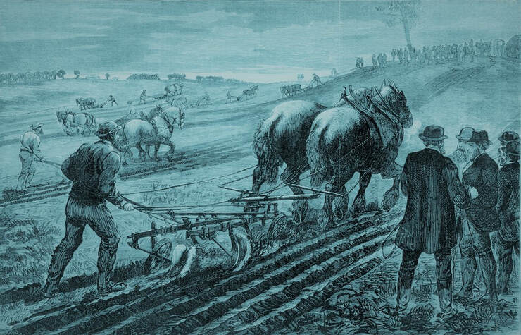 Ploughing Matches Australia 1800's