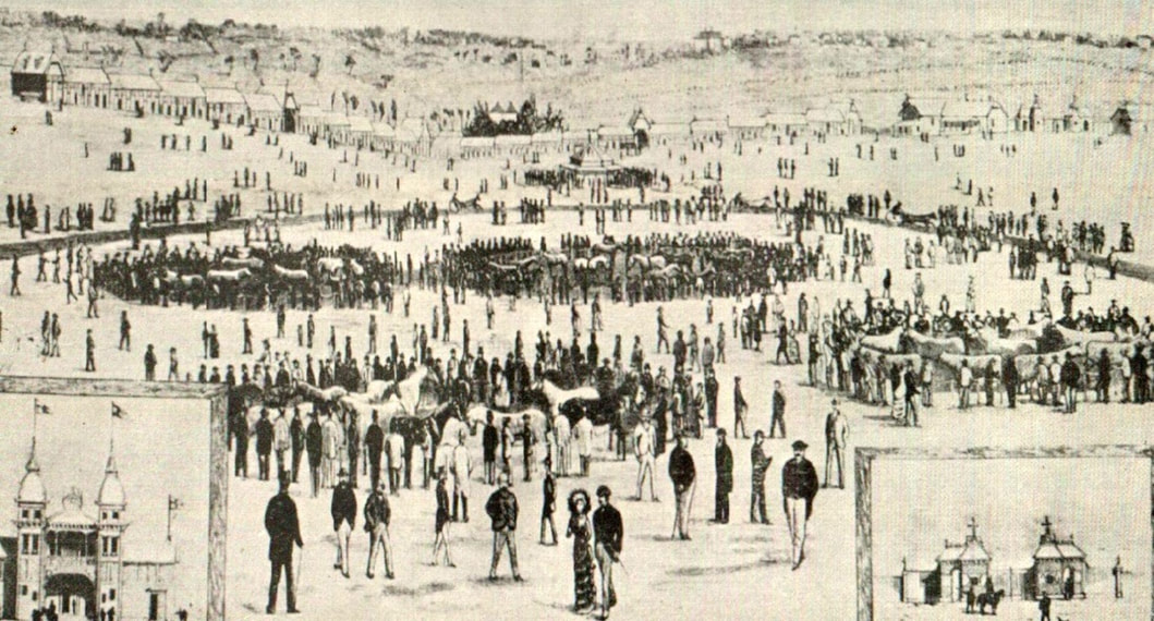 Royal Melbourne Show History New Ascot Vale Show Grounds 1883