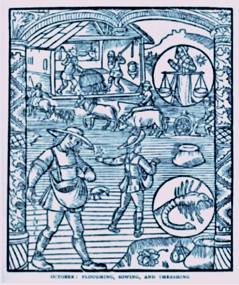 15th century Villains of the Manor, Ploughing, Sewing, Threshing