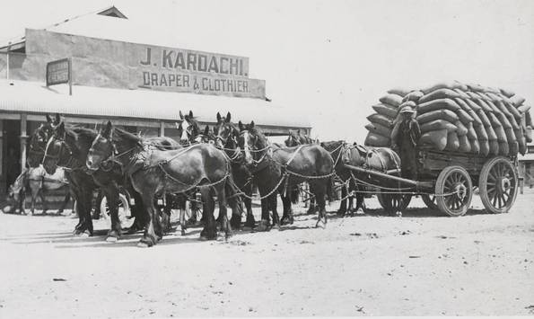 1900: Ten horse wagon team at Tumby Bay