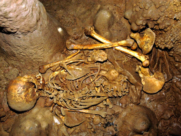 7,000 year old remains found in Welsh cave