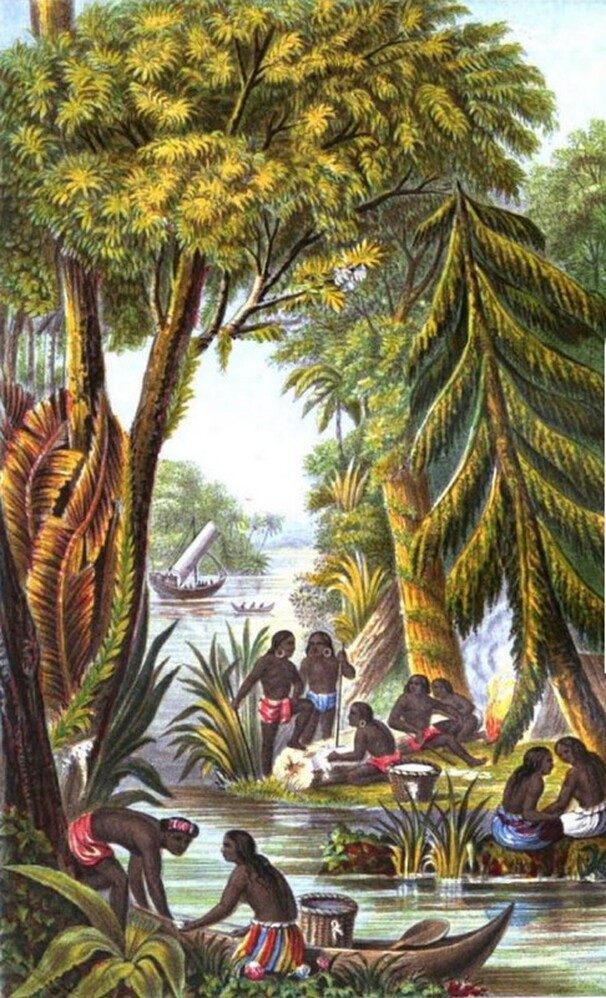 Natives collecting Gutta Percha