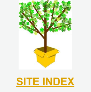 Site Index Beyond the Name