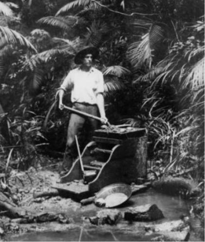Panning for gold on the banks of the Mulgrave River, Queensland, ca. 1888