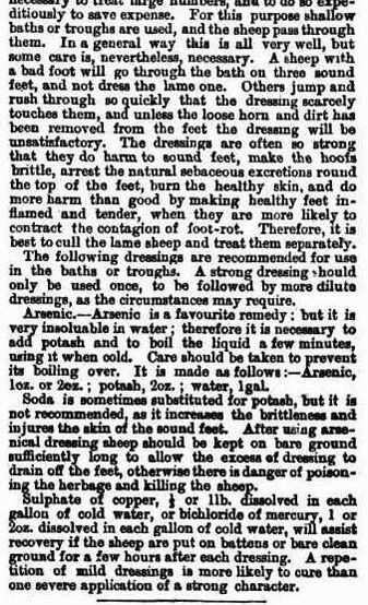 Foot-rot in sheep 1892