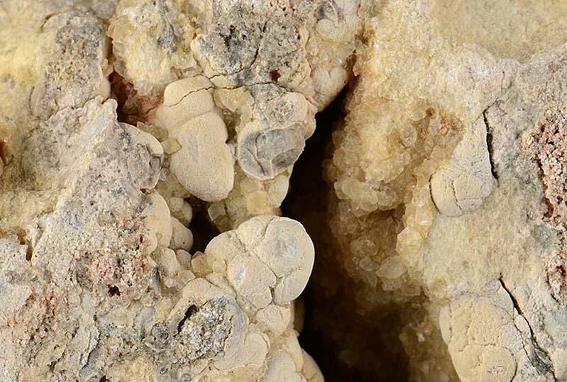 Stromatilitic Limestone