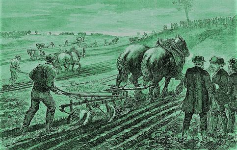 Ploughing Matches Australia 1800's