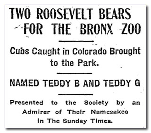 Roosevelt Bears for Bronx zoo