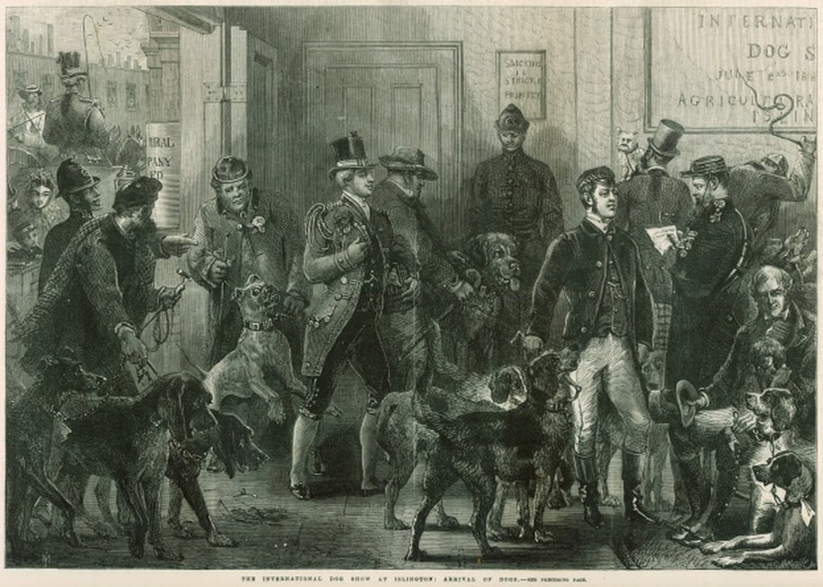Dog show Agricultural Hall, Islington, London 1865