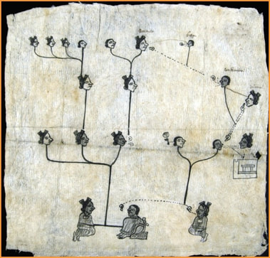 Genealogy of Pedronilla and Juliana. 1576 (place unknown)
