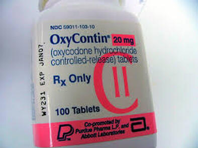 Oxycontin contains the painkiller- Oxycodone