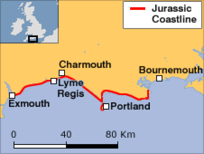 Jurassic Coatline, Dorset