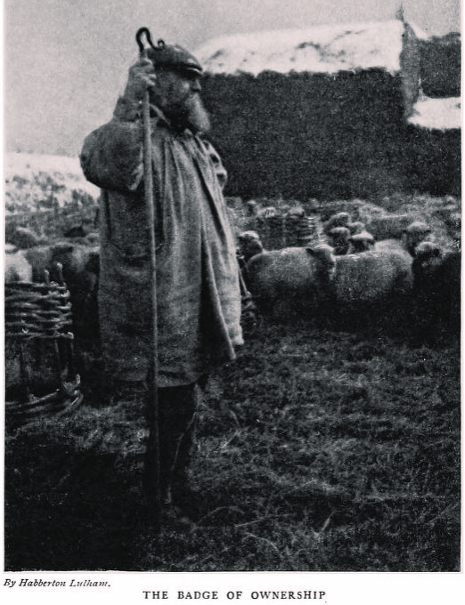 The Marking of Sheep