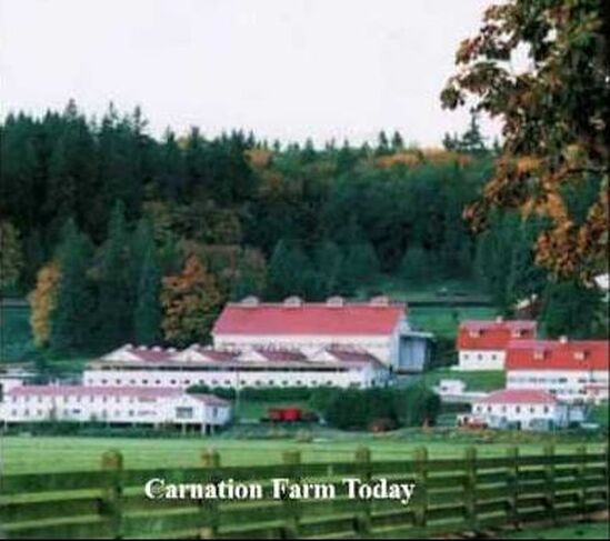 Carnation Farm