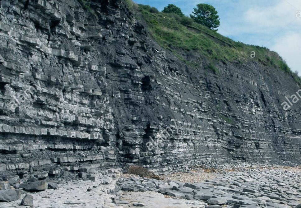 Limestone & Oil rich Shale, Lyme Regis, Dorset