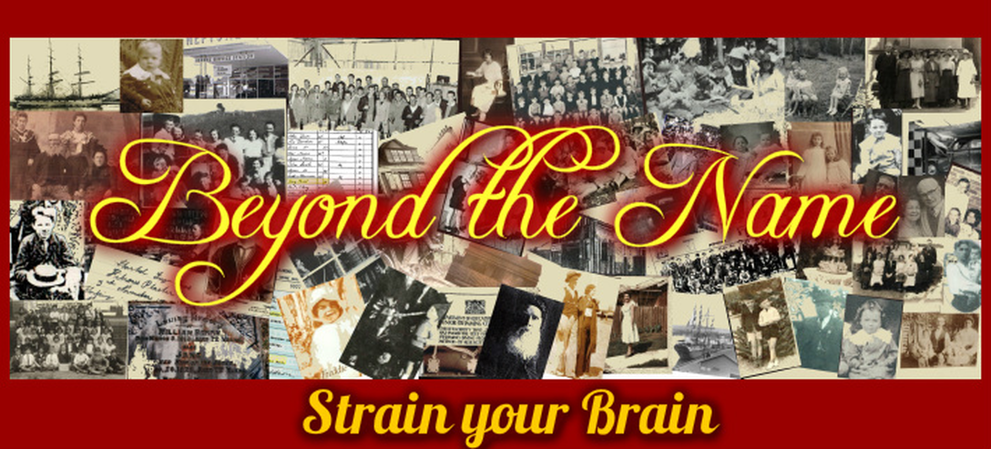 Genealogical puzzles & quizzes- Beyond the Name, History & Genealogy 